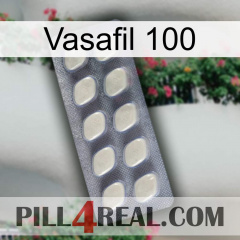 Vasafil 100 08